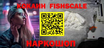 индика Дубна
