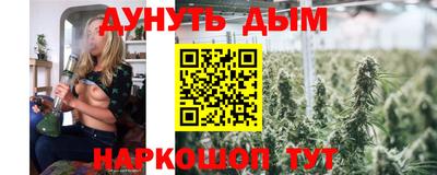 индика Дубна