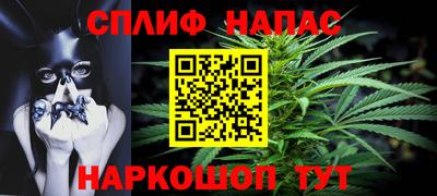 дмт Донской