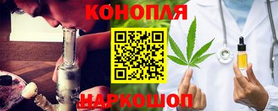 индика Дубна