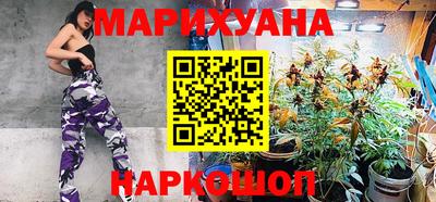 индика Дубна
