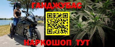 индика Дубна