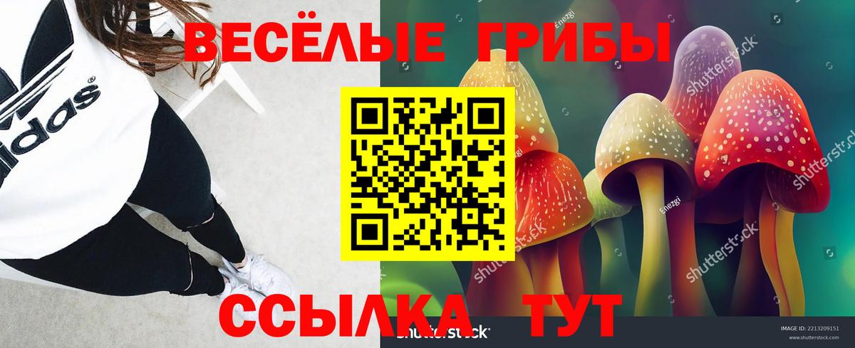 Галлюциногенные грибы мицелий Майкоп
